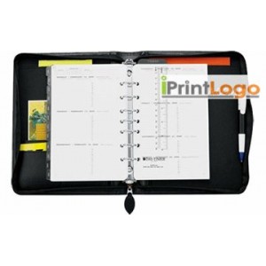 DIARIES-IGT-ZV6190